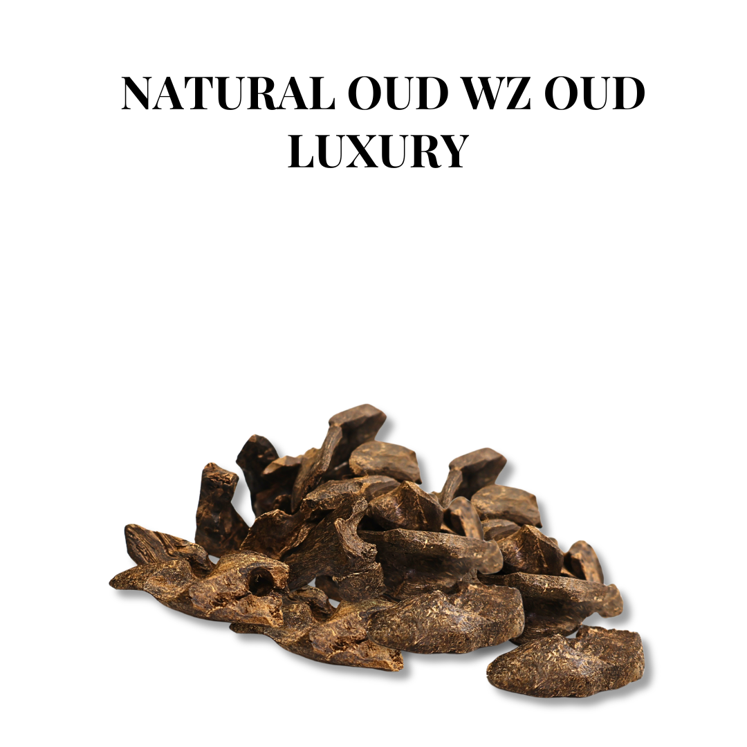 Natural Oud WZ Oud Luxury